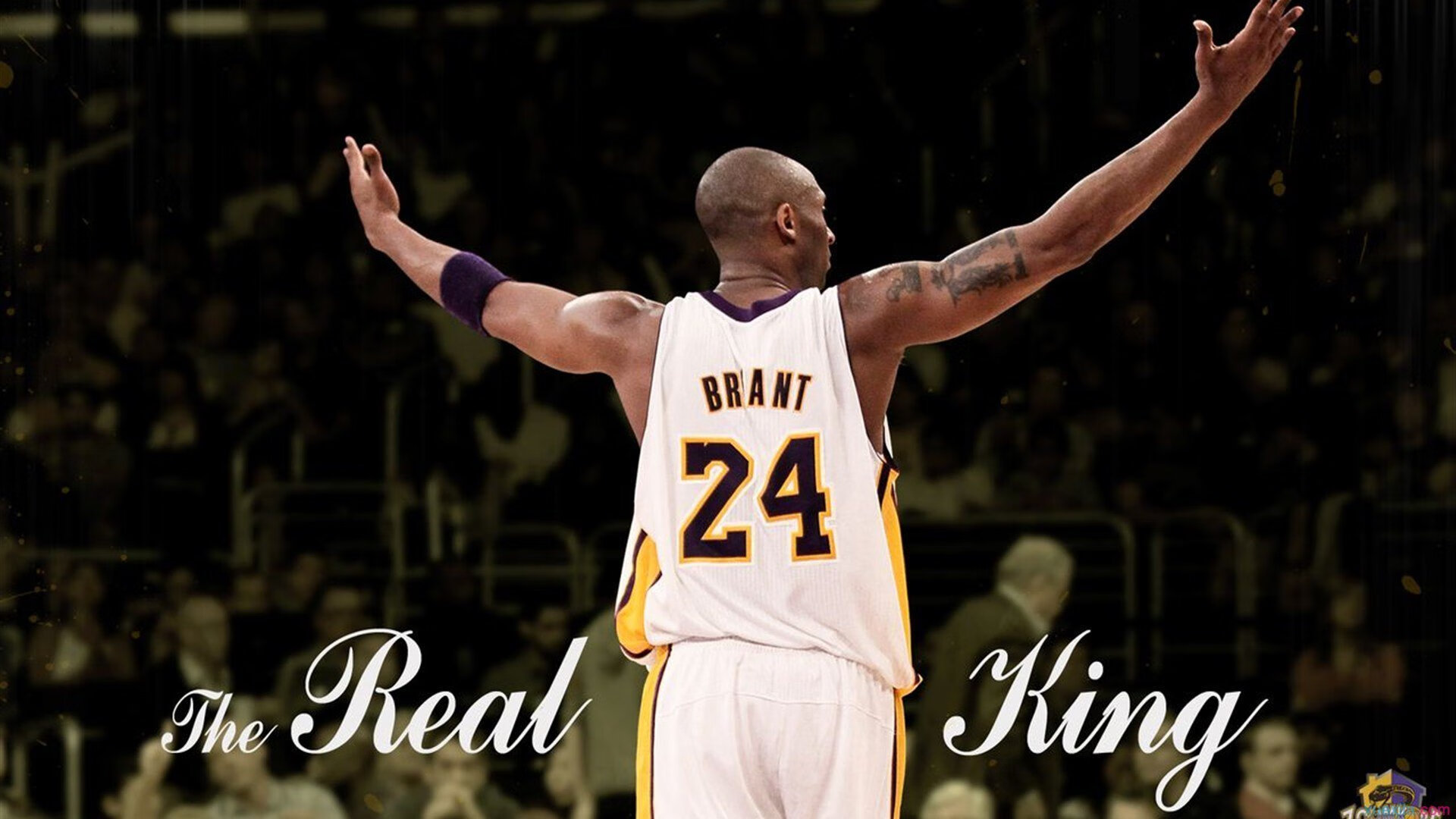 塔图姆赛后评分拉满,猛龙淘汰赛过关吉林队