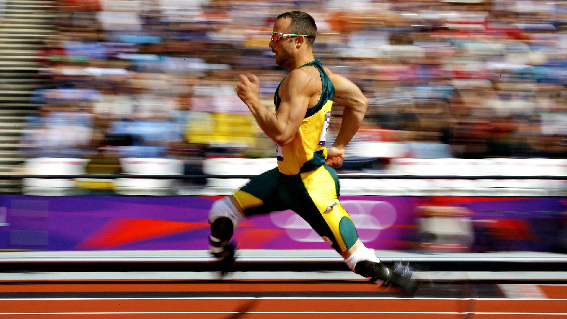 季后赛抢七之夜,福克斯统治全场,当沉默者撕开夜幕